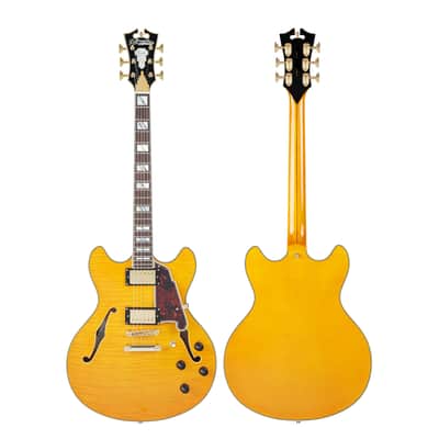 D'Angelico DAEDCVNATGS EXCEL DC Double Cutaway Semi-Hollow Body 6-String Electric Guitar w/Deluxe Hardshell Case image 1
