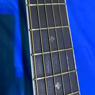 Zager Easy Play ZAD-80CE/AURA Acoustic/Electric Guitar, like new image 10