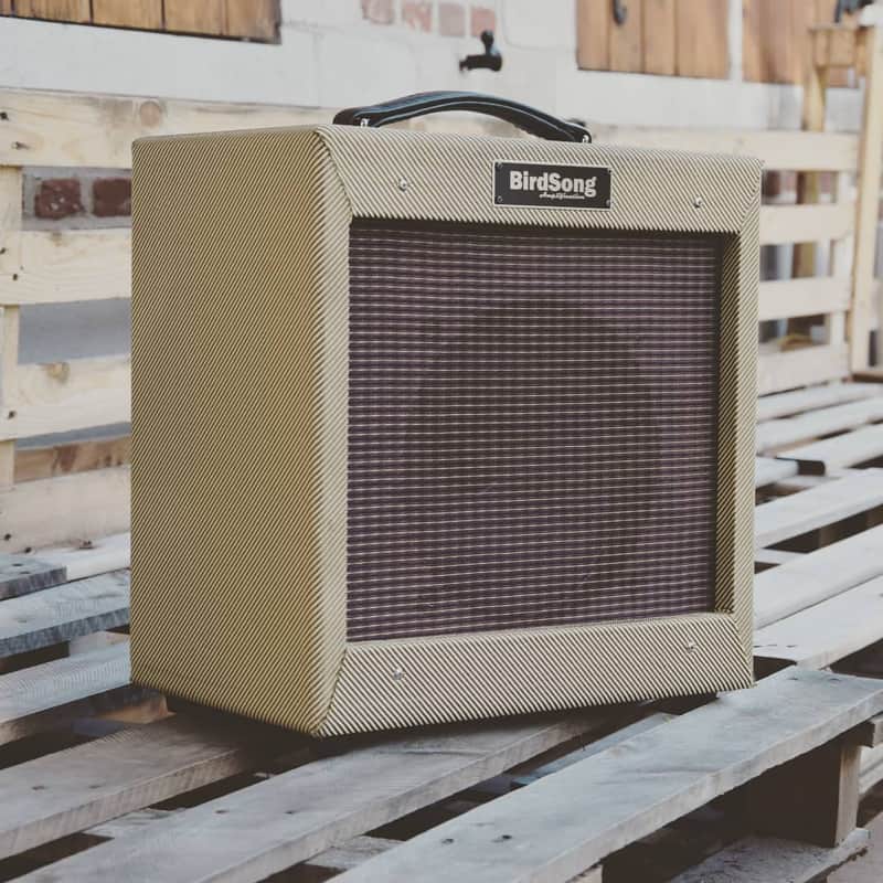 BirdSong - Tweed Champ / Princeton Clone - 10 Inch - Handmade image 1