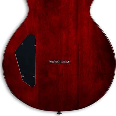 ESP LTD EC-201FT Electric Guitar, Roasted Jatoba Fingerboard, See Thru Black Cherry image 3