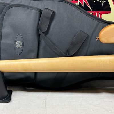Maruszczyk Custom Jake TB 5p tb5p Thunderbird 5-string Bass with COA + Gig Bag 2025 - Living Color image 10