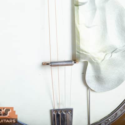 Washburn Tenor Banjo 1920s image 4
