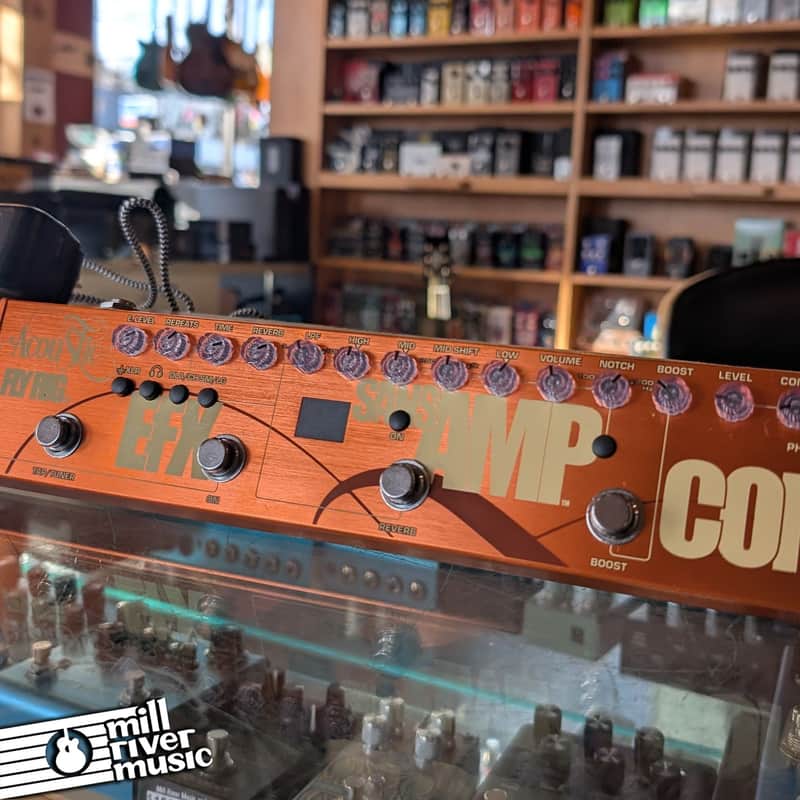 Tech 21 Acoustic Fly Rig