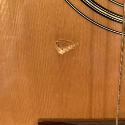 Fender DG-7 Acoustic 1999 Natural image 3