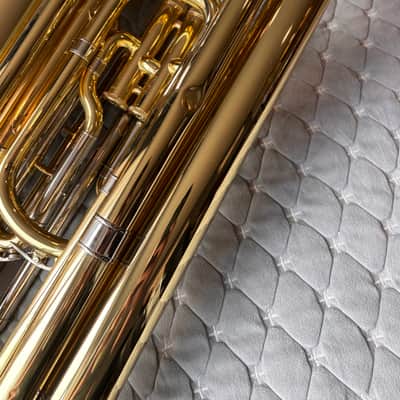 Andreas Eastman EBB-231 3/4 Tuba Rolling Cade and Moc image 12