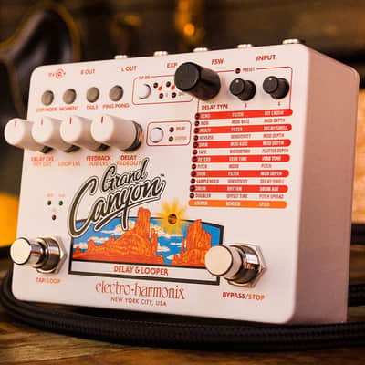 Electro-Harmonix Grand Canyon Pedal *USA Small Business* image 2