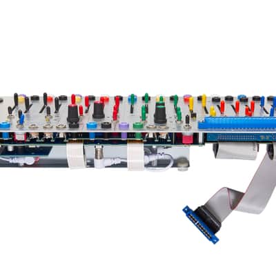 Buchla 208C (4U Module Only) image 2