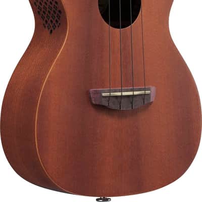 IBANEZ UKC100-OPN Concert Akustik-Ukulele inkl. Gigbag open pore natural image 3