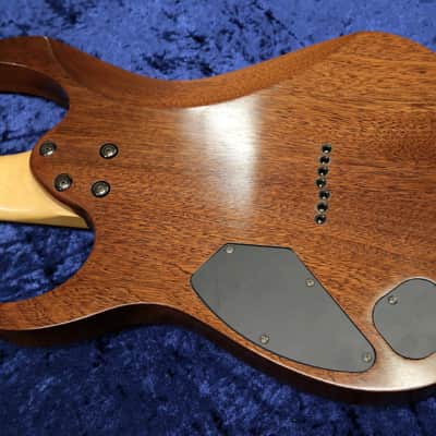 Ibanez RG 7621 1998 Mahogany Oil Finish Dimarzio One Of a Kind Demo image 16
