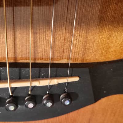 Taylor GC7 with L. R. Baggs HiFi Electronics image 19
