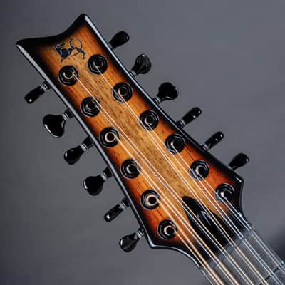 X7-12 String |  Carbon Fiber 12-string acoustic parlor guitar, Ultimate stability and Tone image 4