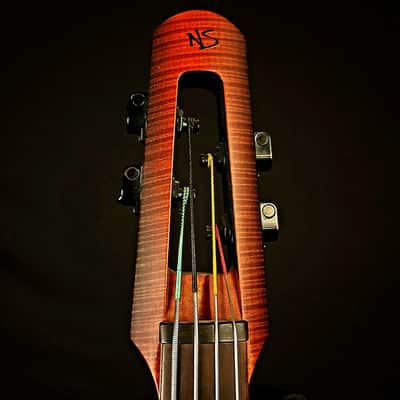 NS Design NXT4 Double Bass image 3