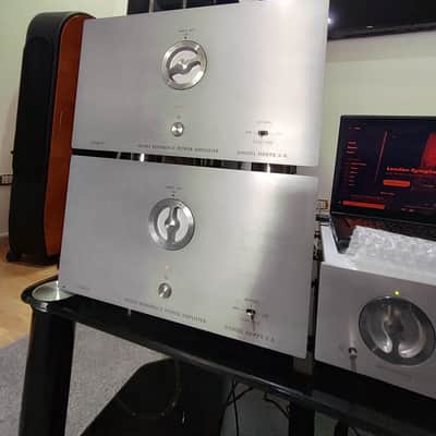 DANIEL HERTZ MARK LEVINSON M1 REFERENCE + 4 TELIKOS M5 + M6 2016 image 9