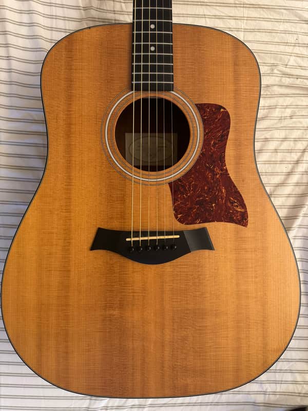 Taylor 110