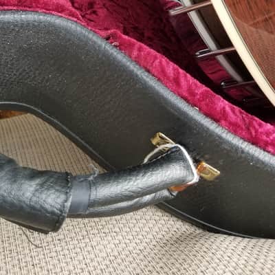 Gold Tone 10 string  resonator banjo image 9