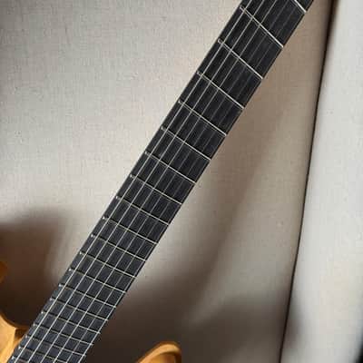 Rick Toone Metro Skele Semi Acoustic image 17