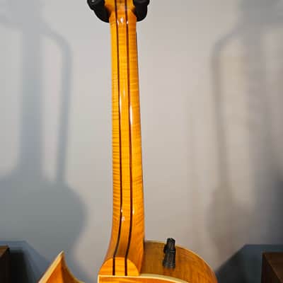 Gibson Starburst Flame 1993 - Amber image 14