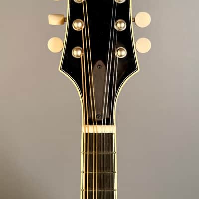 Bourgeois M5A Mandolin - Natural image 11
