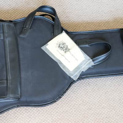 Fano SP-6 Standard, P90 + Telecaster Pickup image 18