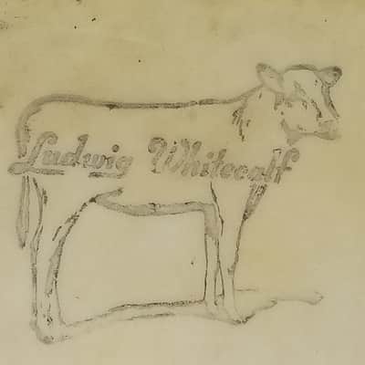 Ludwig 20"Whitecalf Calf Skin Bass Drum Head Vintage 50s Transition Badge Script image 2