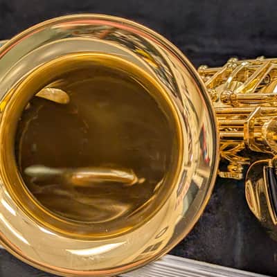 Alpine Woodwinds AAS143 2010's Alto Saxophone with Case - Gold image 19