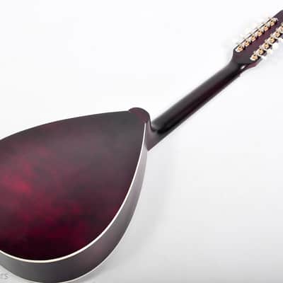 Trembita Kobza Acoustic Guitar 12 string Antique Lute Folk Vihuela Unique Design Travel mandolin image 9
