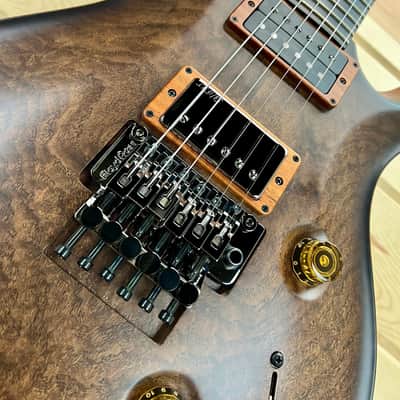 PRS Private Stock  Custom 24 Floyd Birds of a Feather NEW! PS #10796 image 12