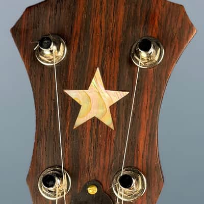 Starr Limited Edition 11" Maple 5-String Openback Banjo image 13