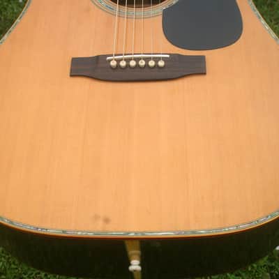 1976 Takamine Elite TW100 Jacaranda Body Natural+Vintage Hard Case image 21