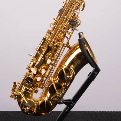 Victory Musical Instruments Triumph Series Student Eb Alto Saxophone - Gold Lacquer With Case and Mouthpiece image 3