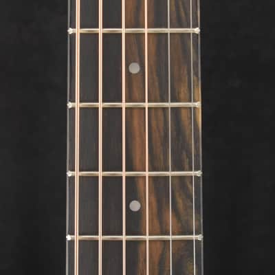 Taylor GS Mini image 4