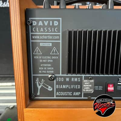 Schertler   Dav ID 100 W Wood Natural image 3