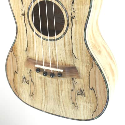 Sun Star Spalted Maple Concert Ukulele image 6