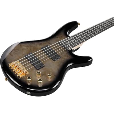 Ibanez GSR205PC Gio SR 5-String Electric Bass - Transparent Pale Black Burst image 7