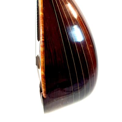 Concert Mandolin E. De Cristofaro 1930's image 9