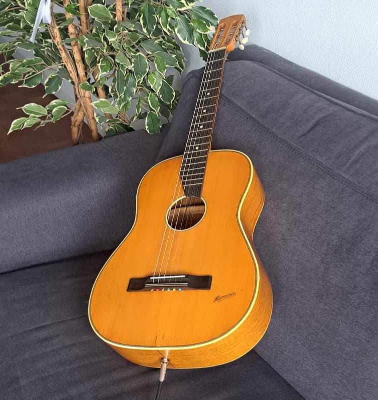 HARMONIE Folk/blues parlor with 3 piezo pickups 1960 image 1
