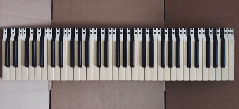 FATAR TP/8S PROFESSIONAL 61-KEYS KEYBED FOR SYNTHS KAWAI K5000S/W, E-MU E4K/E-SYNTH, ACCESS VIRUS, ROLAND A-70, SOME ENSONIQ VFX/SD-1, KURZWEIL 2500/2600, WALDORF WAVE/QUANTUM (+SOME OTHERS) ASSEMBLED "GOTH" KEYBOARD PLUG-N-PLAY image 1