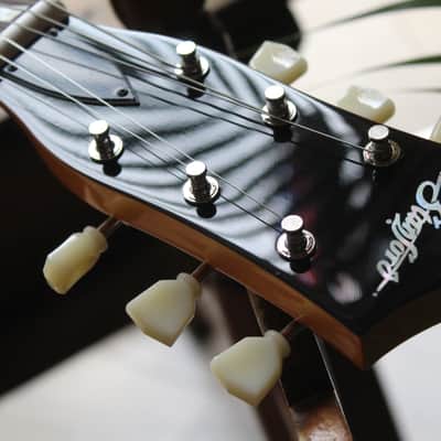 STANFORD "CR Fatboy 95 Bigsby B60 Golden" HARDCASE, 3, 38 KG image 7