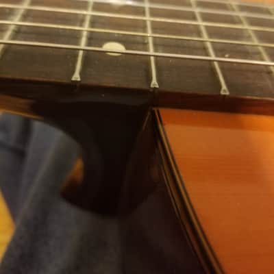 Yamaha Ec 12. Eterna Classical 1981 Natural Gloss image 8