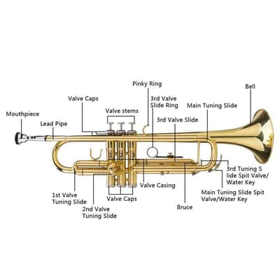 Beginner Gold Lacquer Brass Bb Trumpet W/ Case for Student School Band image 3