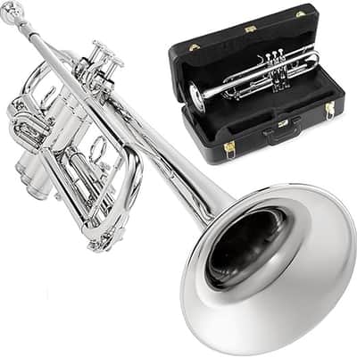 管楽器・吹奏楽器 GR Wayne Bergeron Studio GP G.R. Wayne Bergeron Studio GP Trumpet Mouthpiece [Used] | Reverb