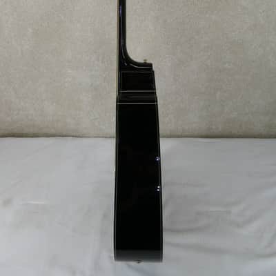 Washburn D100 CEB Blk w/HSC image 10