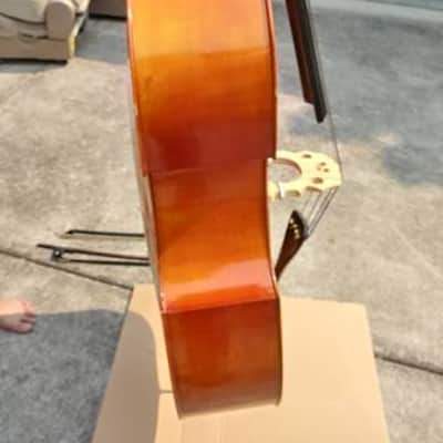 Samuel Eastman VB80 1/4 size acoustic bass 2013 amber image 7