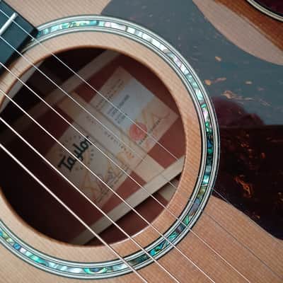 Taylor 512ce Urban Ironbark 2022 - Present - Tobacco image 4