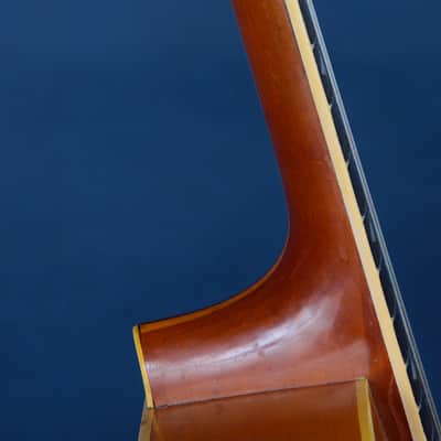 Epiphone Triumph 1944 / Here's Your Stardust Melody! image 12