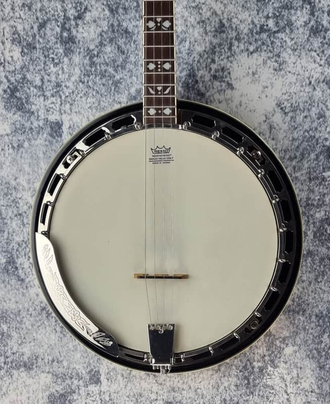 Tanglewood TWB Pro-4 Tenor Banjo - Pre-Loved (Good Condition) image 1