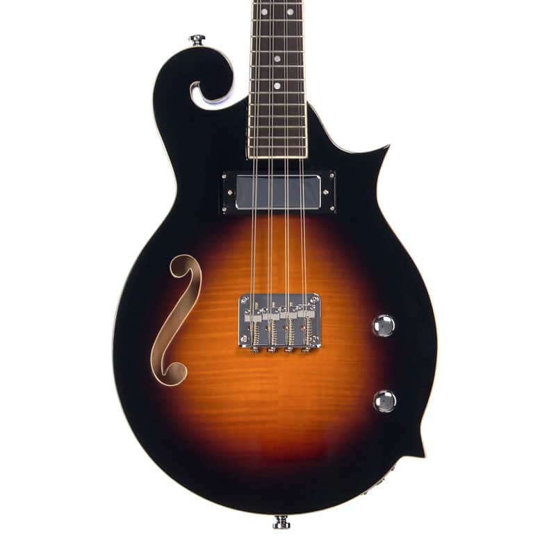 Eastwood Mandola image 2