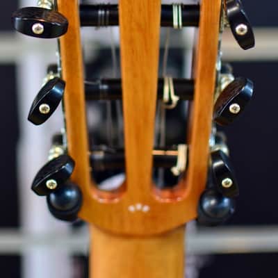 Cordoba Fusion 12 Natural Cedar Electro Nylon Guitar image 5