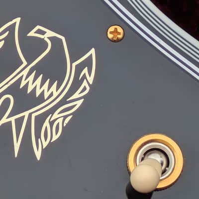 2022 NOS - Gibson Firebird Custom with Ebony Fretboard - Ebony image 11