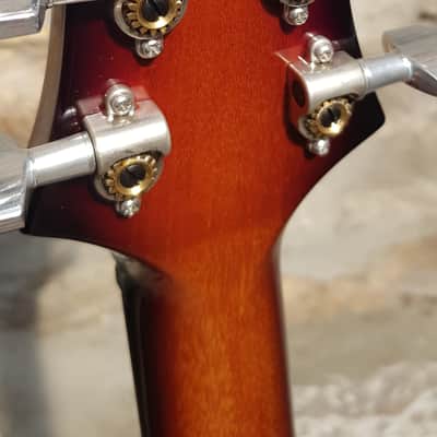 PRS Mark Tremonti Signature Tremolo 10-Top 2007 - Present - Boyd Burst image 6